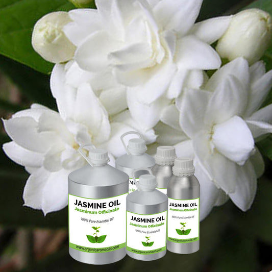 Jasmine Oil