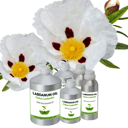 Labdanum Oil