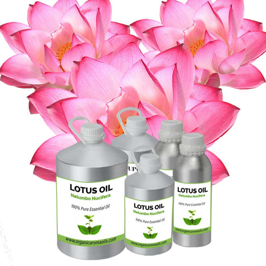 Lotus Oil