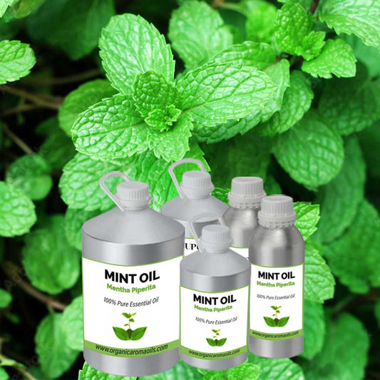 Mint Oil / Mentha Piperita Oil