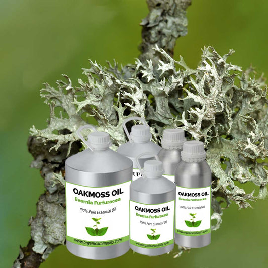 Oakmoss Oil