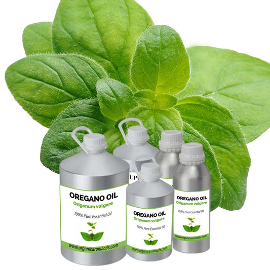 Oregano Oil