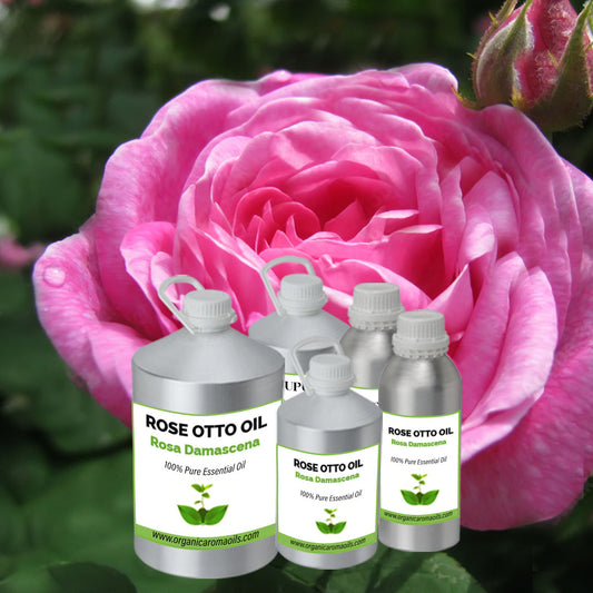 Rose Otto Oil