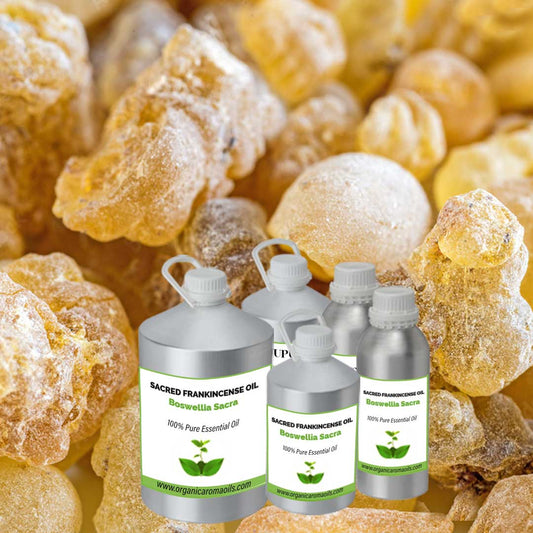 Sacred Frankincense Oil