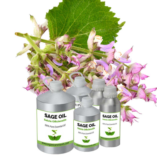 Sage Oil