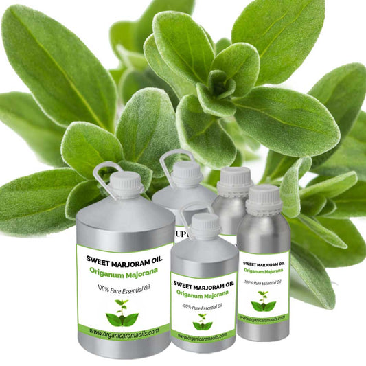 Sweet Marjoram Oil