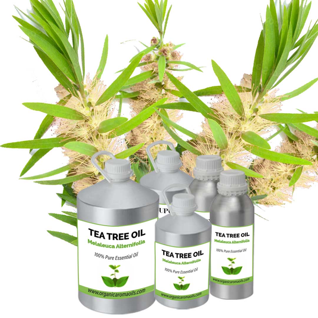 Tea Tree Oil Indian