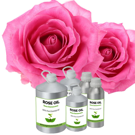 Rose Oil