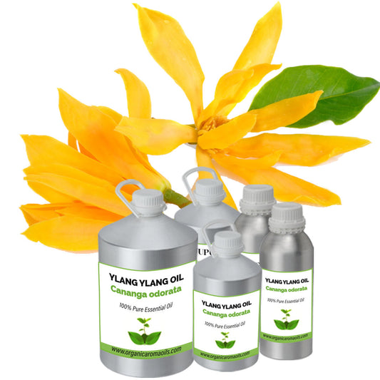 Ylang Ylang Oil