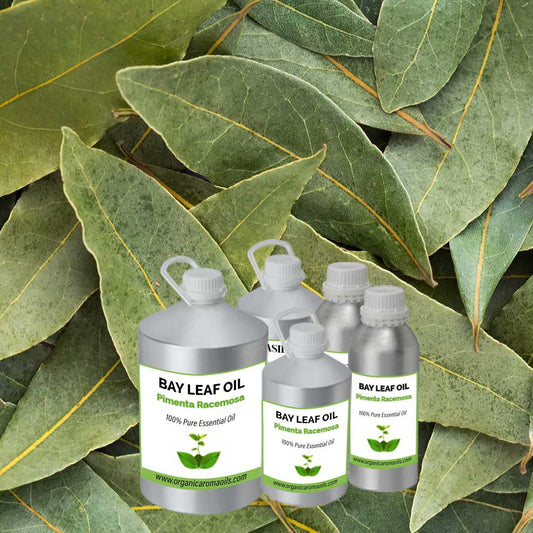 Bay Leaf Oil